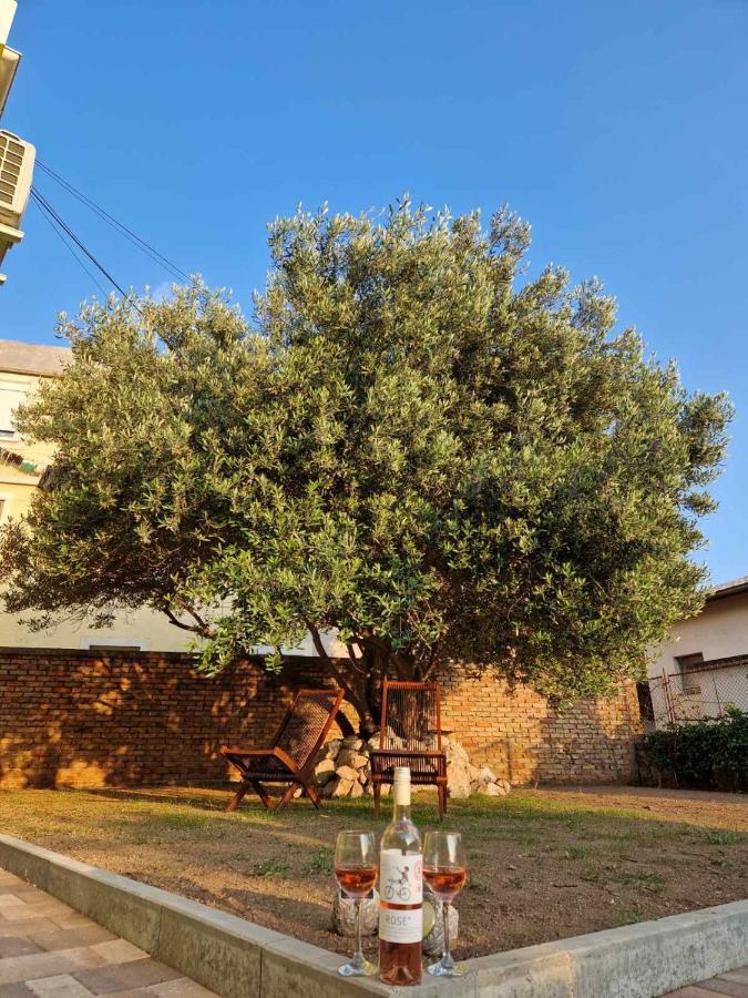 סנג' Apartmani Studio Apartmani Senjska Maslina מראה חיצוני תמונה