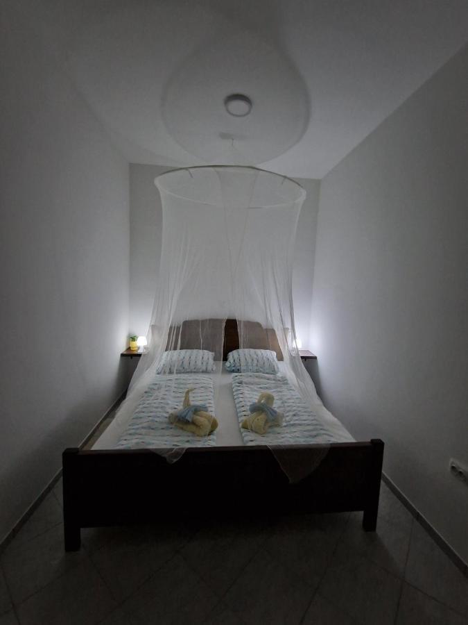 סנג' Apartmani Studio Apartmani Senjska Maslina מראה חיצוני תמונה